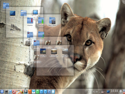 KDE Metamorphose PUMA 5